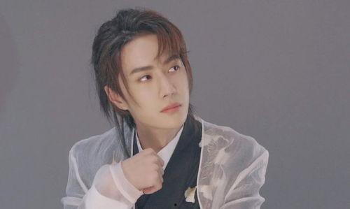 吃瓜鹅娱乐速报肖战,吃瓜鹅娱乐速报，揭秘明星背后的故事