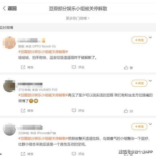 娱乐吃瓜小组长,幕后故事与热门事件大盘点